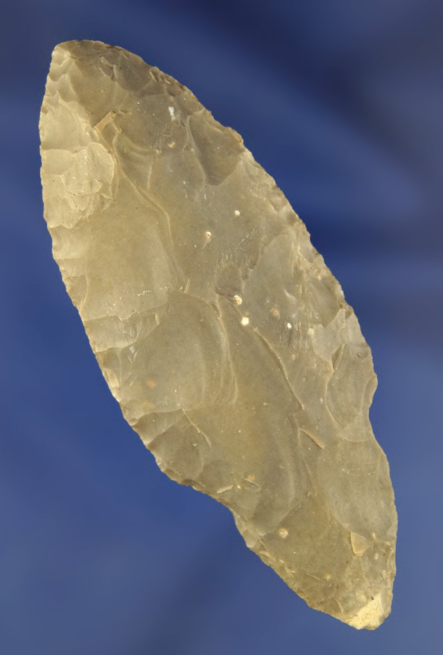 Classic styled 3 1/8" Hornstone Turkeytail found in Ohio. The Kentucky.