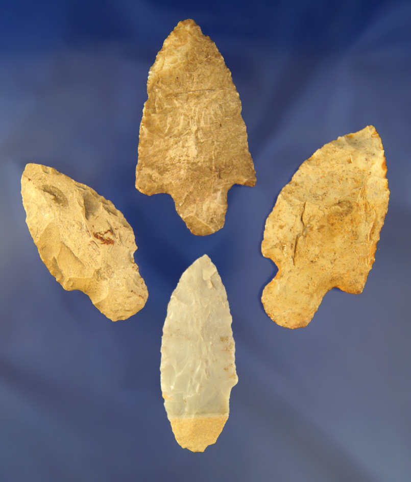 Group of four Adena Arrowheads found in Ohio, largest is 2 3/4".