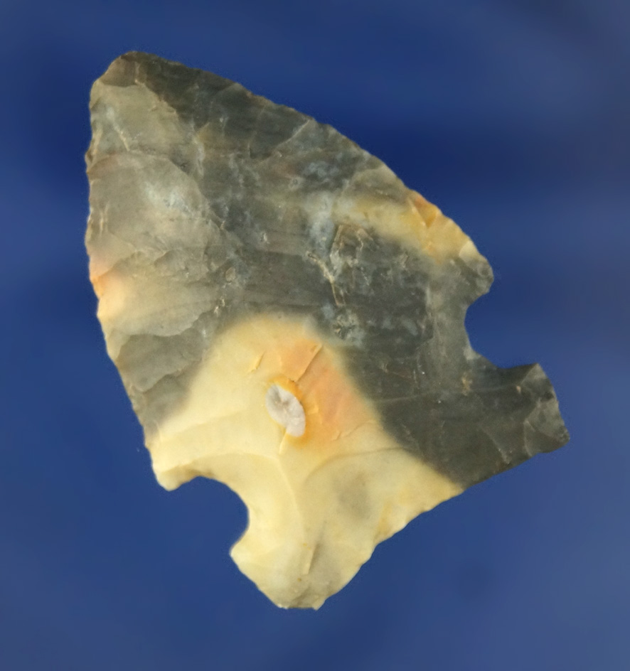 1 9/16" big Sandy Sidenotch made from attractive material found in Ohio.