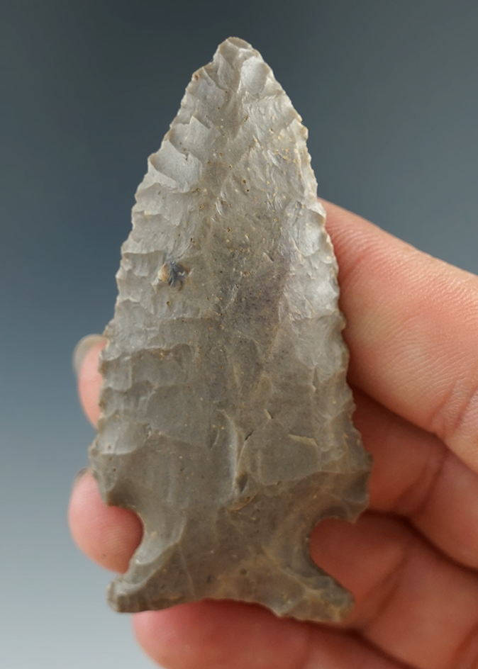 2 1/2" Kirk Cornernotch found in Kentucky.