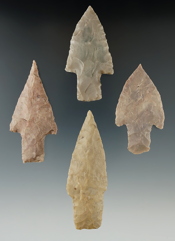 Ex. Museum! Group of 4 Bulverdes found in Texas, largest is 2 15/16".