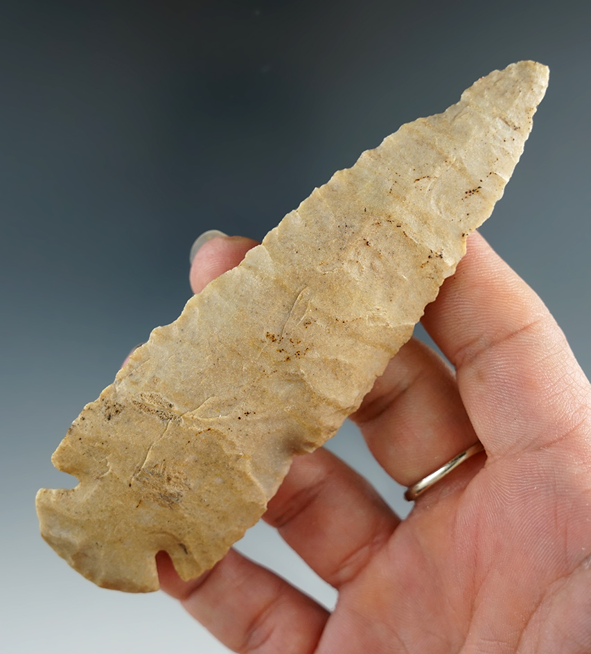 4 9/16" Dovetail found in Brookville, Indiana. Comes with a Bennett COA.