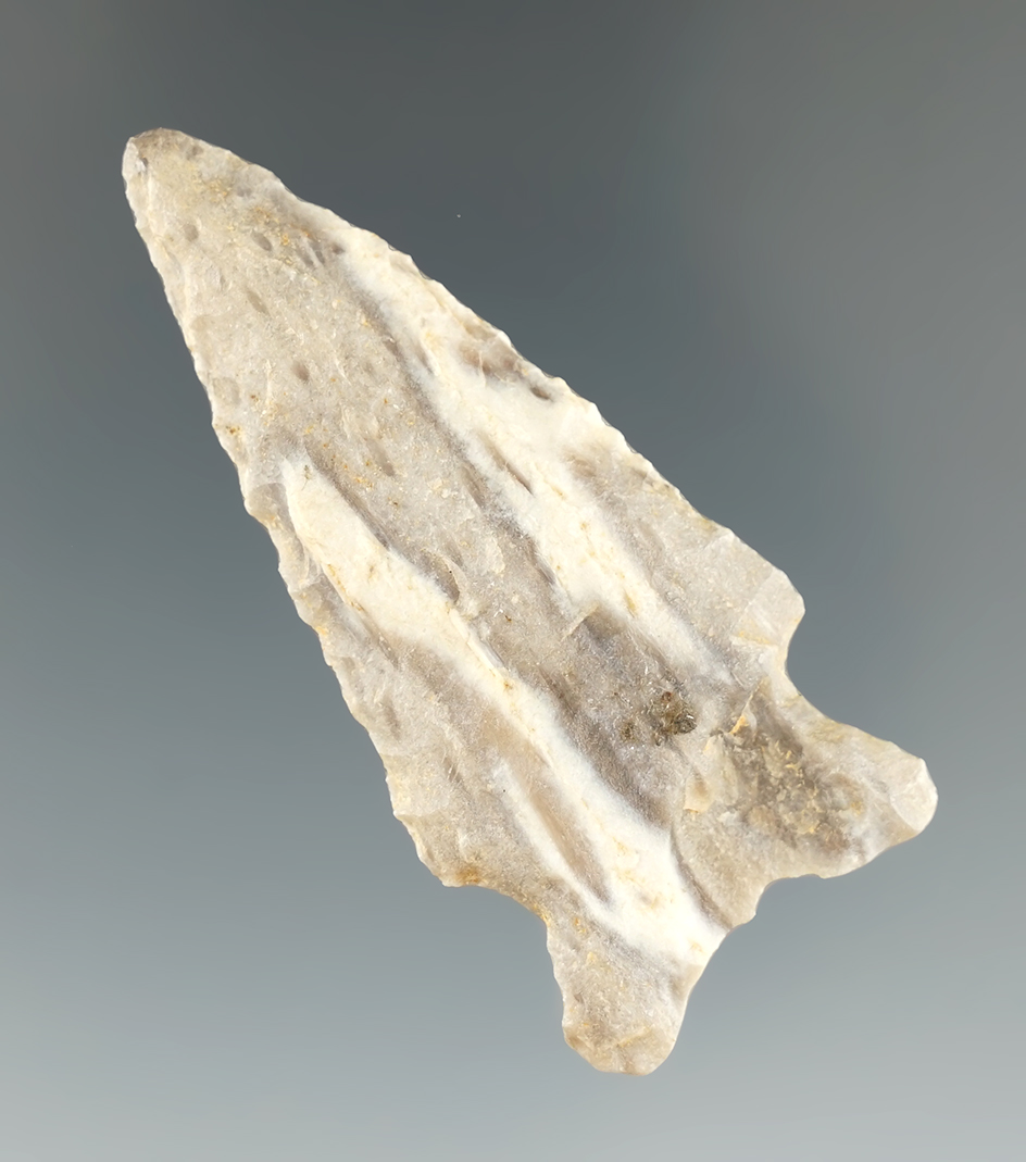 2 1/4" Dalton Greenbrier made from Agatized Palm Wood. St. Augustine Co., Texas.  Rogers COA.