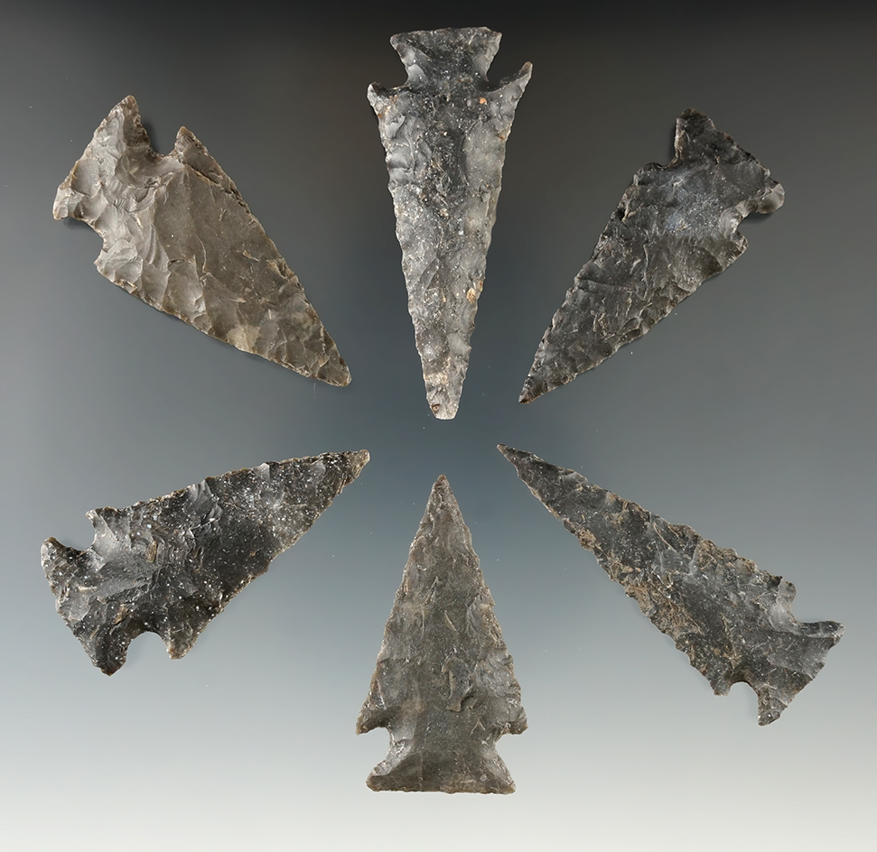 Ex. Museum! Group of 6 Ensors found in Texas, largest is 2 1/4".