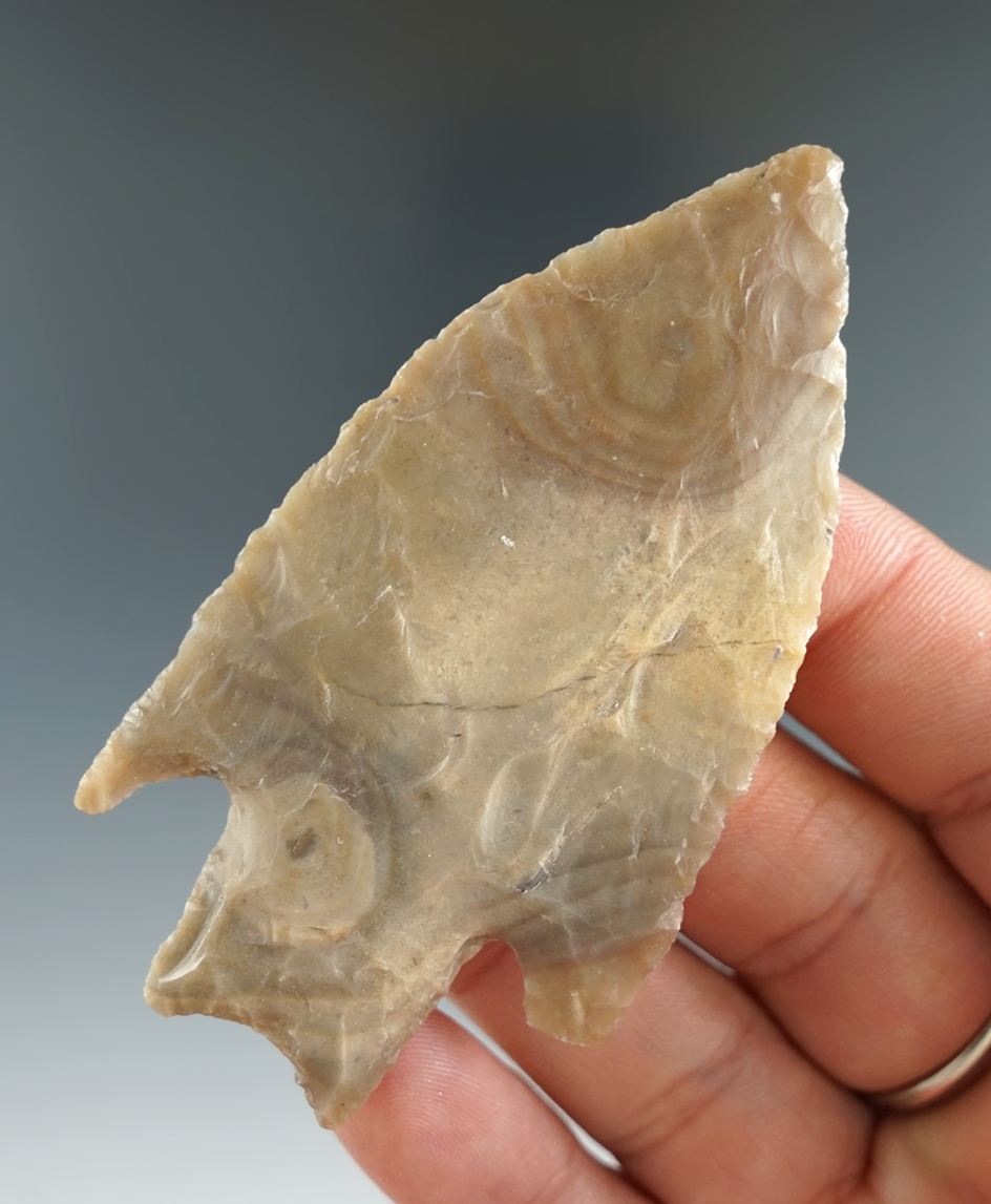 3 3/4" Castroville found in Bell Co., Texas. Comes with a Rogers COA.