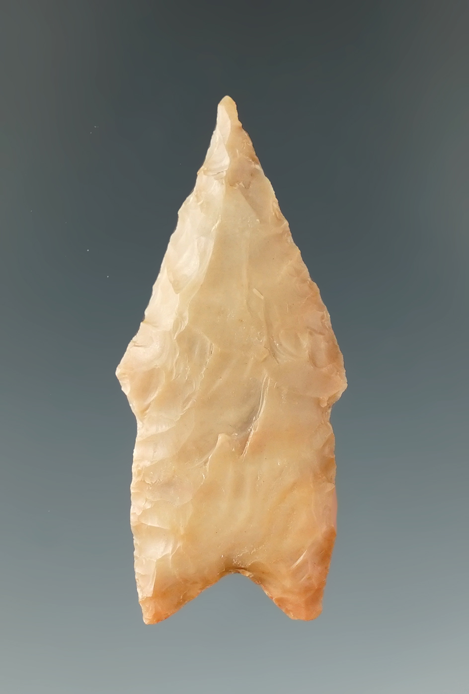 1 7/8" Pedernales found in the area of Temple, Texas by Cas Jamroz.