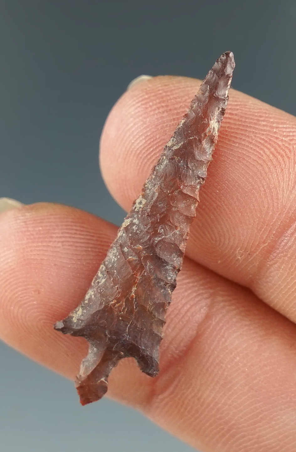 Nice flaking on this 1 3/8" Pin Stem found at the Richard Sawyer Site, Columbia River.