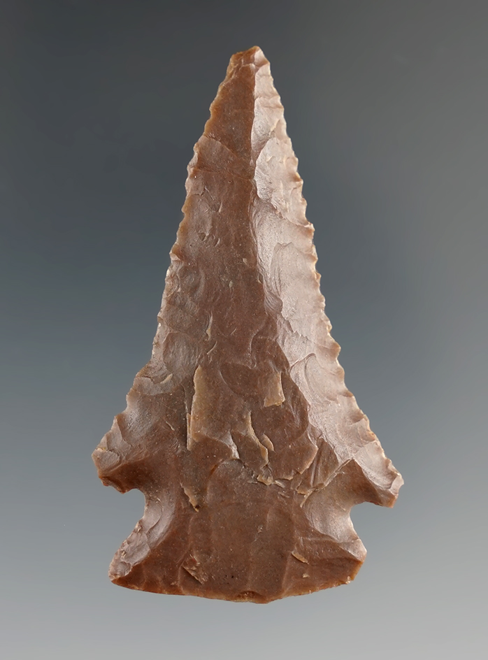 2 1/4" Pinetree found in Kentucky.