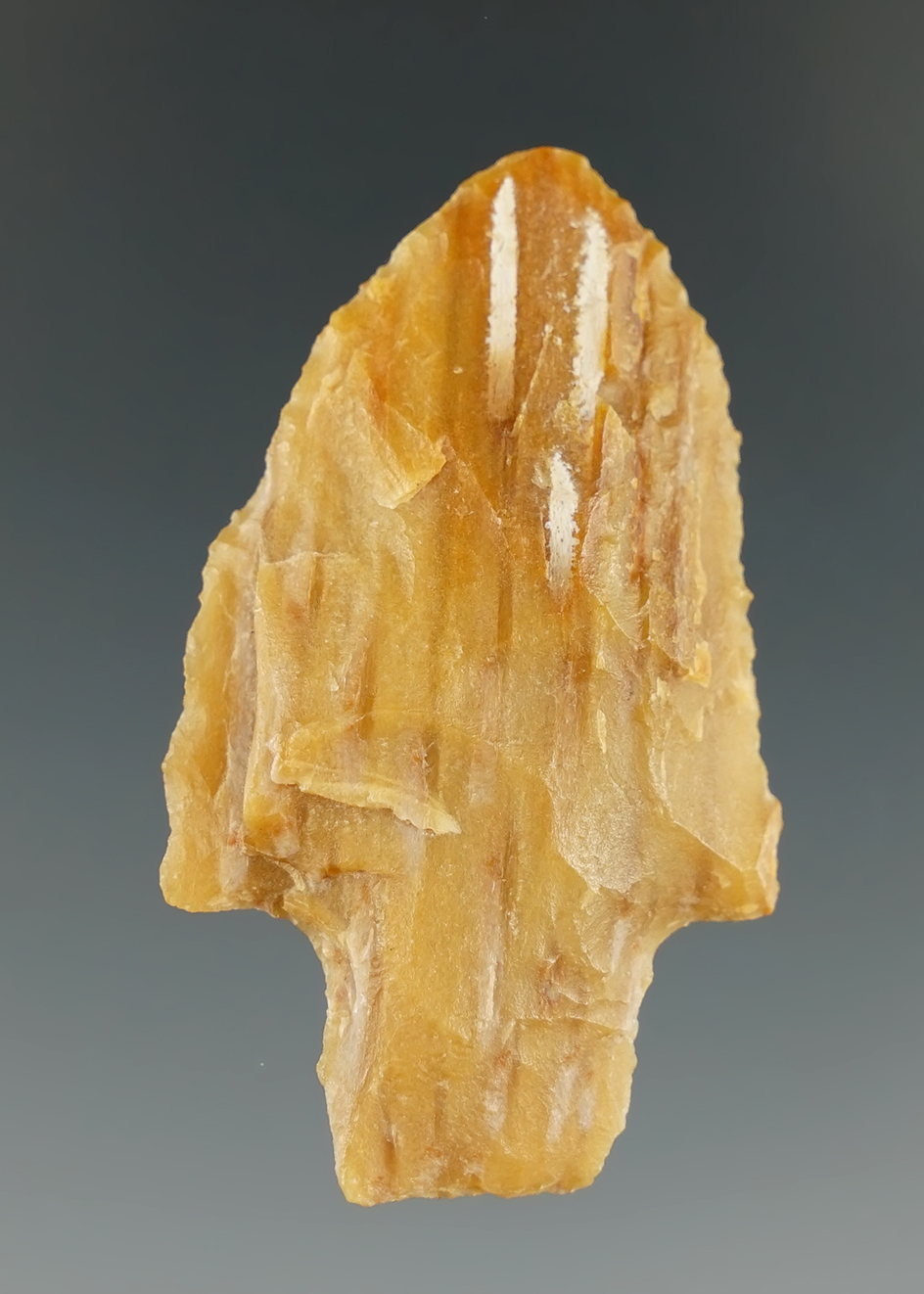 1 13/16" Carrollton made from Agatized Palm Wood, found in Sabine Co., Texas. Rogers COA.