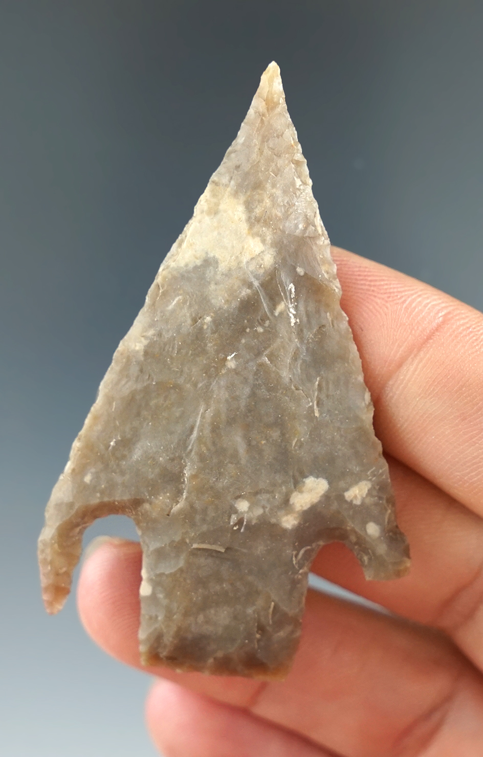 2 3/8" Basal notch with a needle tip and a very unique ear, one is damaged. Found in Texas.