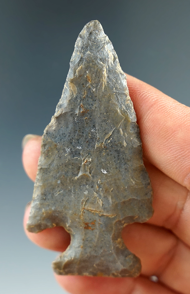 2 1/2" Motley found in Northern Kentucky.