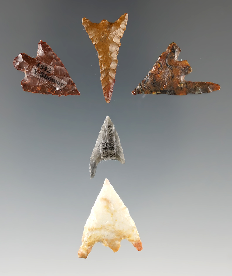 Ex. Museum! Group of 5 Gunthers, largest is 1". Found in southern Oregon.