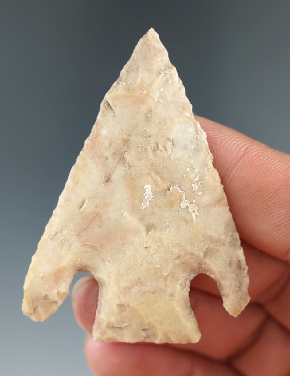 2 3/16" Basal notch in nice condition that is well patinated found in Texas.