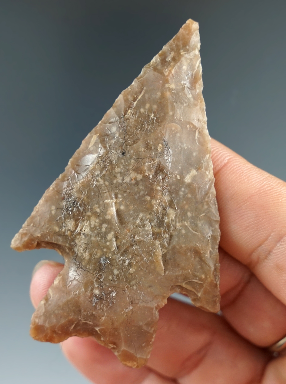 2 13/16" Pedernales found in Texas.
