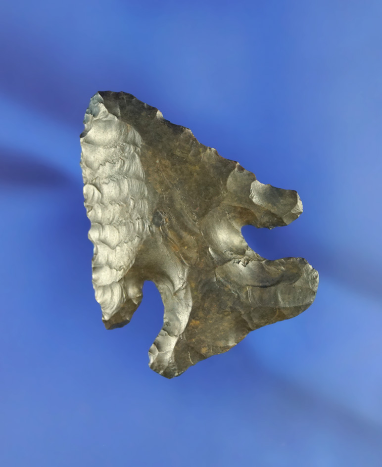 2 1/16" heavily patinated Coshocton Flint Archaic Deep Notch Bevel found in Allen Co.,  Ohio.
