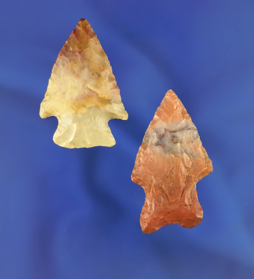Pair of colorful Flint Ridge Flint arrowheads found in Ohio, largest is 1 3/4".