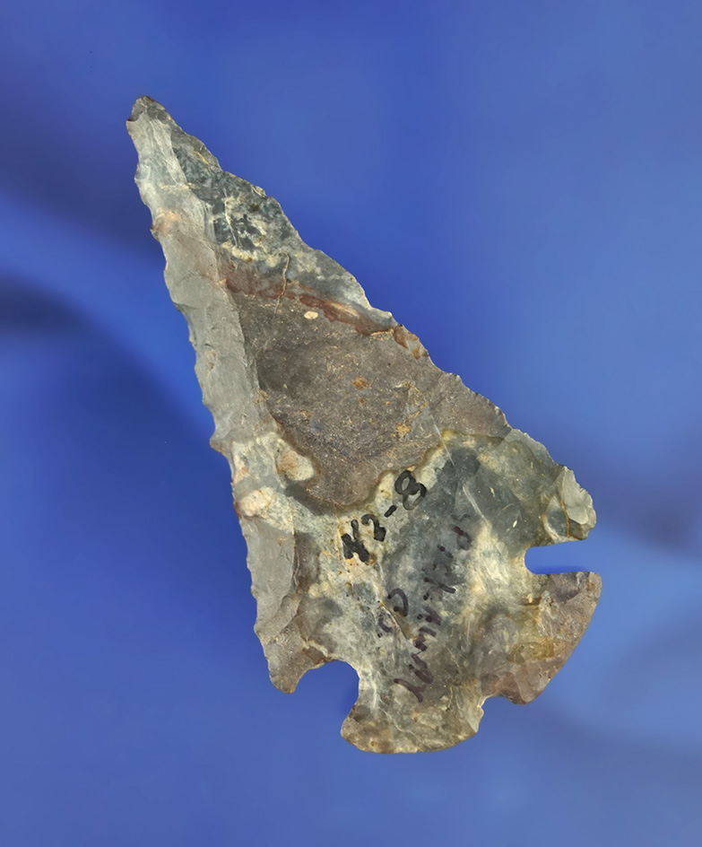 Steeply beveled 2 15/16" Notched Base Dovetail - Pickaway Co.,  Ohio. Upper  Mercer Flint.