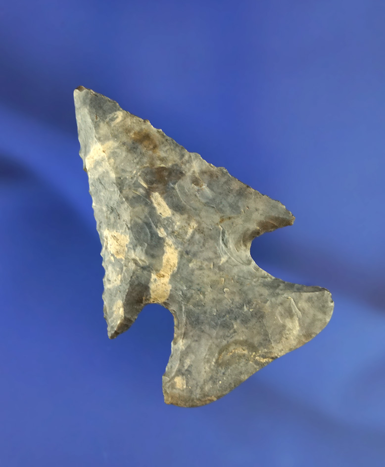 2 3/8" deeply beveled Archaic Thebes found in Marion Co.,  Ohio made from Coshocton Flint.