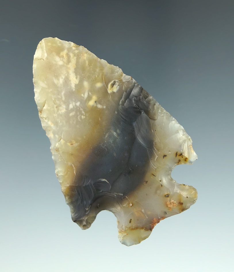 Beautiful 2 1/2" Rare Black and Gold Fully translucent Hopewell. Found in Stark Co., Ohio.