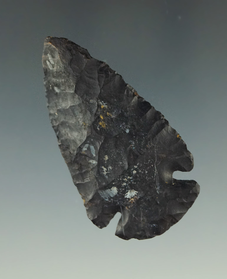 2 1/16" Coshocton Flint miniature Dovetail with restoration to 1/4" of tip - Miami Co.,  Ohio.