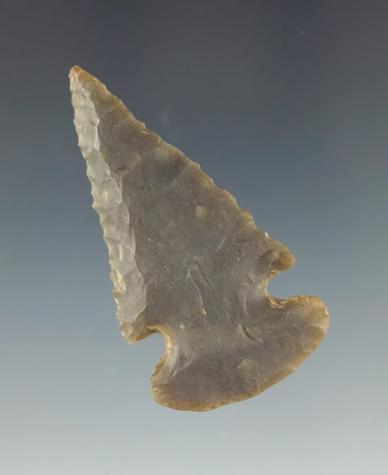 1 13/16" nicely beveled Hornstone Miniature Dovetail found in Western Ohio.