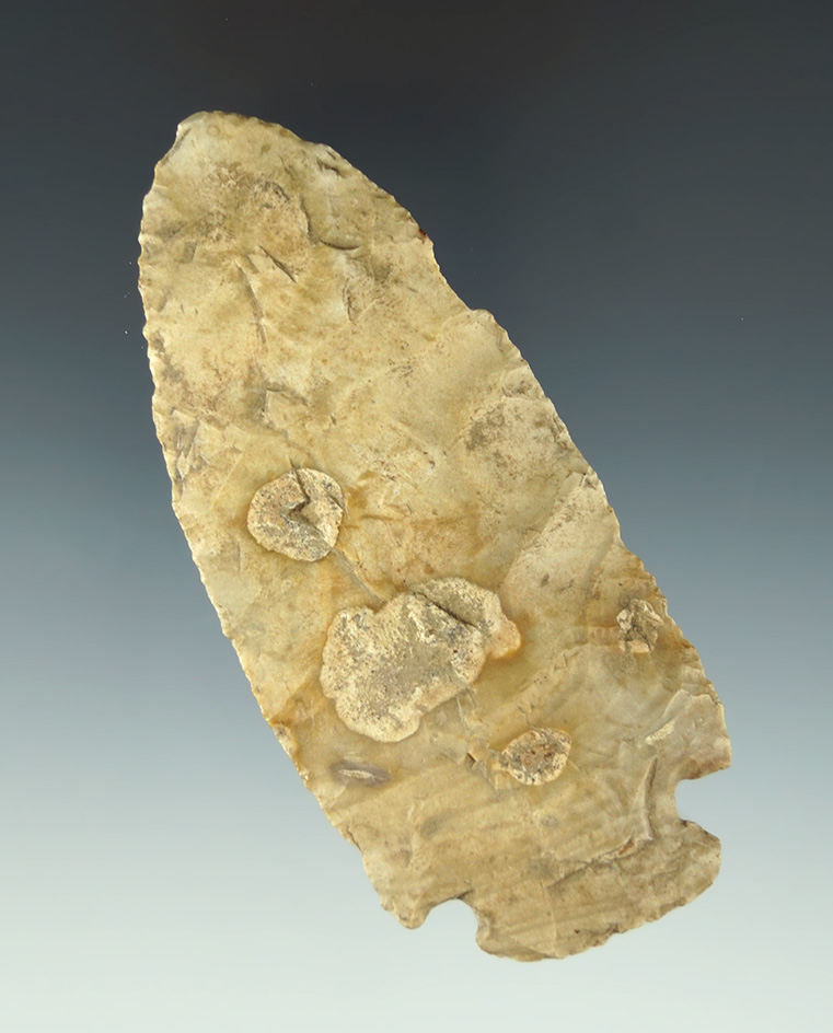 3 15/16" Flint Ridge Flint Archaic Cornernotch found in Knox Co.,  Ohio.