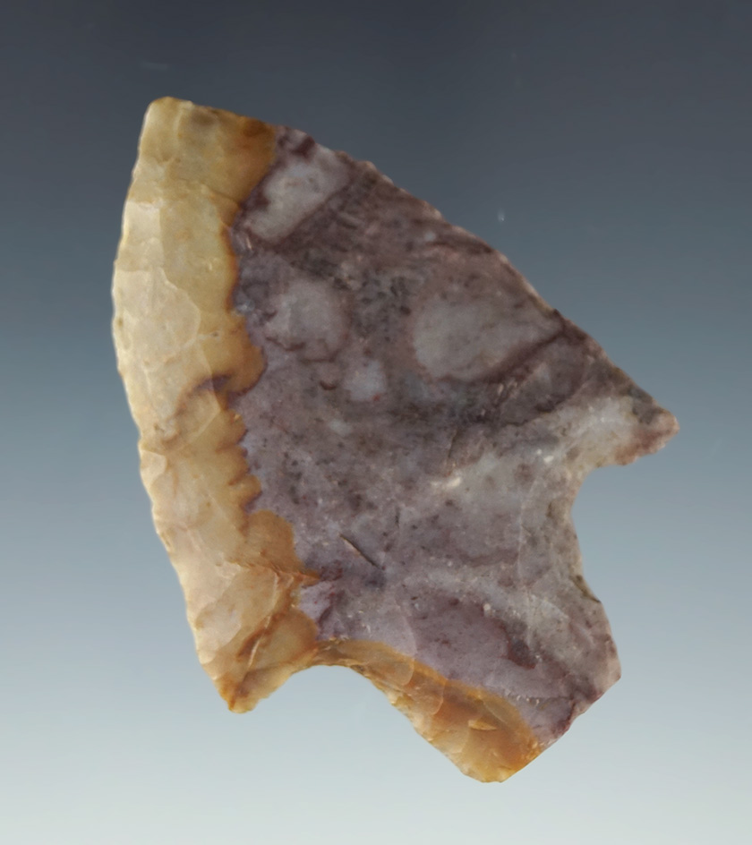 2 1/2" Purple and Gold Flint Ridge Adena found in Perry Co., Ohio. Ex. Dean Driskill, #302.