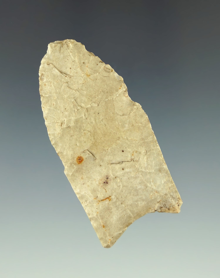 2 1/4" Paleo Fluted Clovis found in Ohio. Bennett COA.