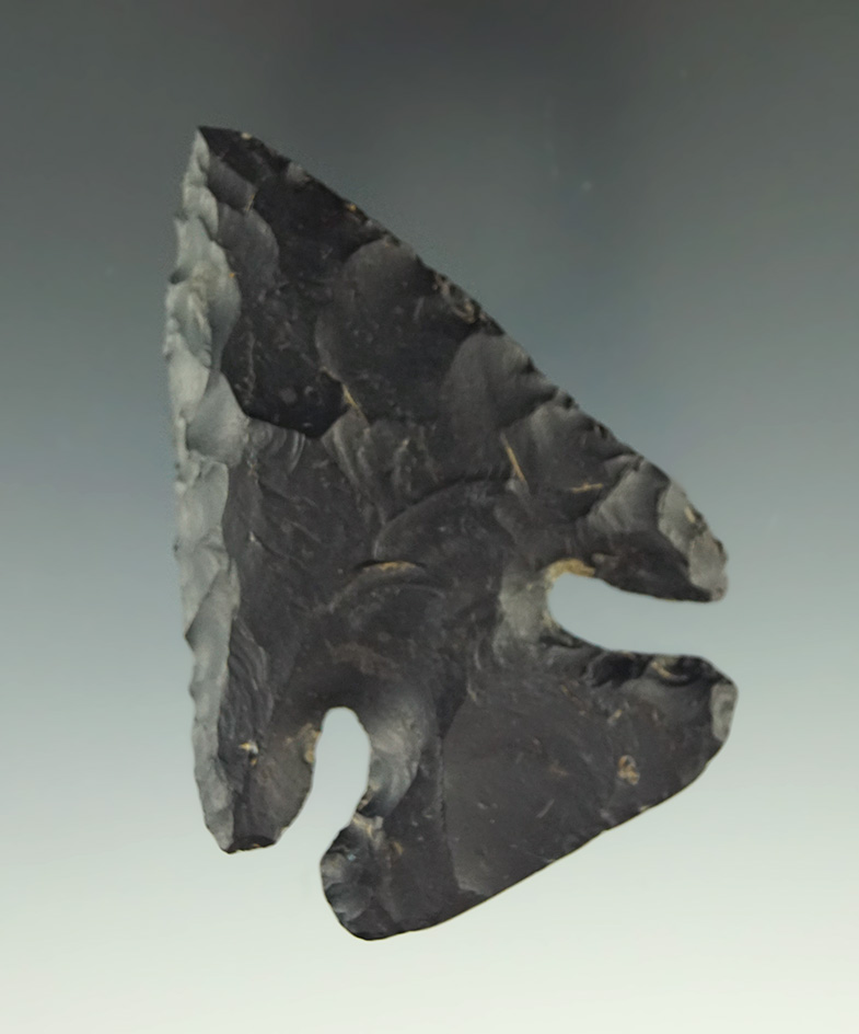 2 3/4" wide base Archaic Thebes Bevel found in Marion Co.,  Ohio. Ex. Likens collection.