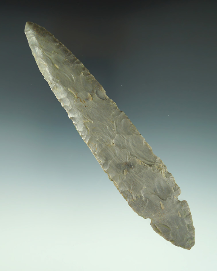 Large! 6 5/16" Turkeytail found in Harrison Co.,  Kentucky. Made from Hornstone. Dickey COA.