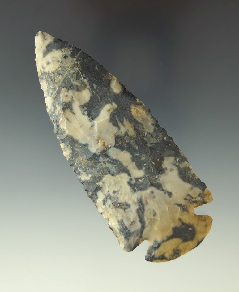 3 7/8" Highly Colored Blue and White Flint Ridge Dovetail found in Central Ohio.