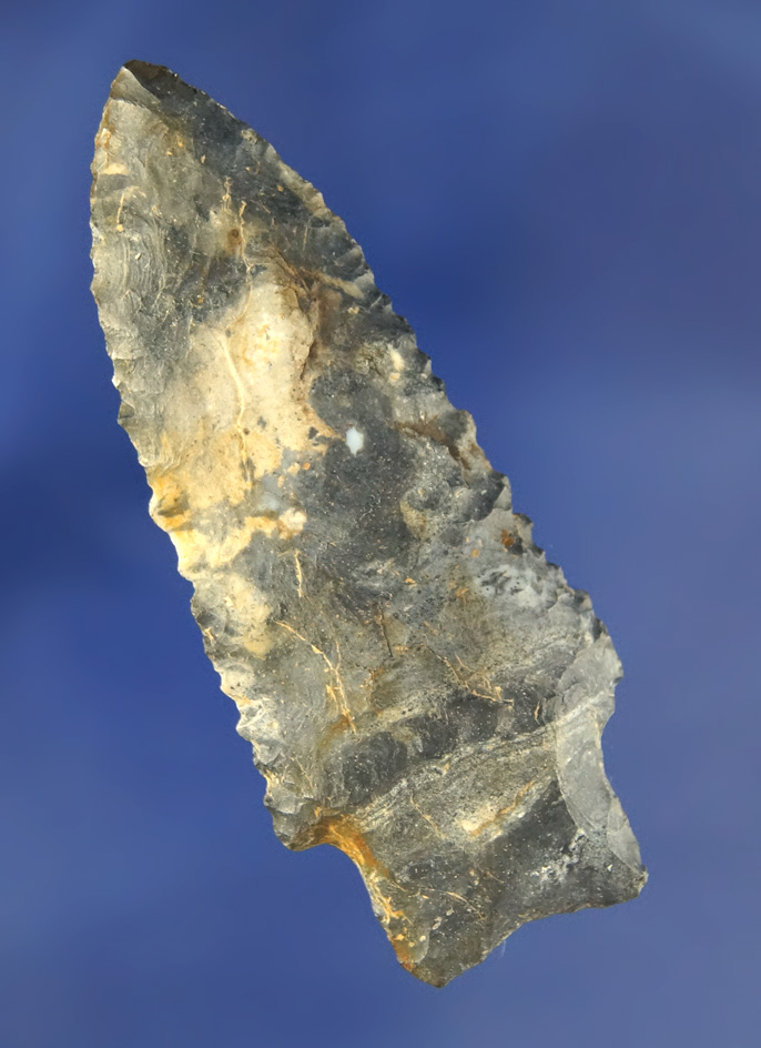 2 3/4" Transitional Paleo Dart Point found in Wood Co., Ohio. Ex. Don Jardine collection.