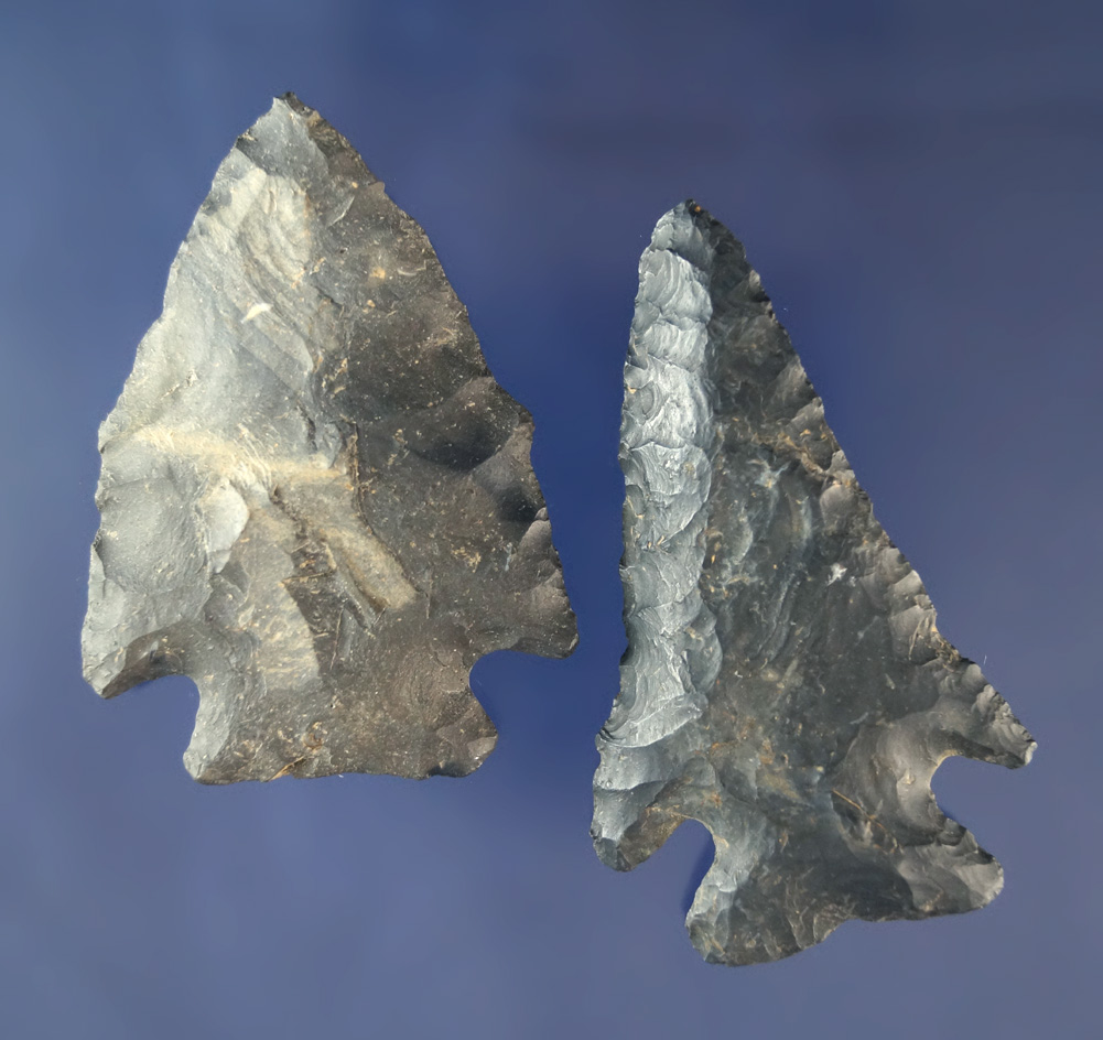 Nice pair of Coshocton Flint Arrowheads found in Ohio including a 2 3/16" Pentagonal.