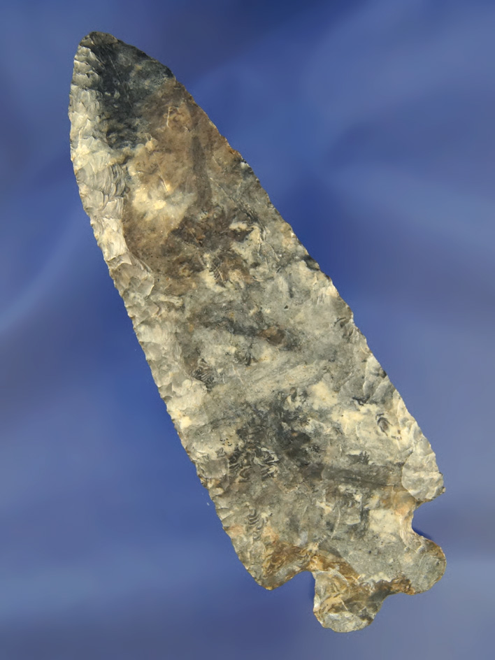 large 4 3/4" mottled Coshocton Bifurcate found in Fairfield  Co .Ohio.  Ex Sam Speck collection.