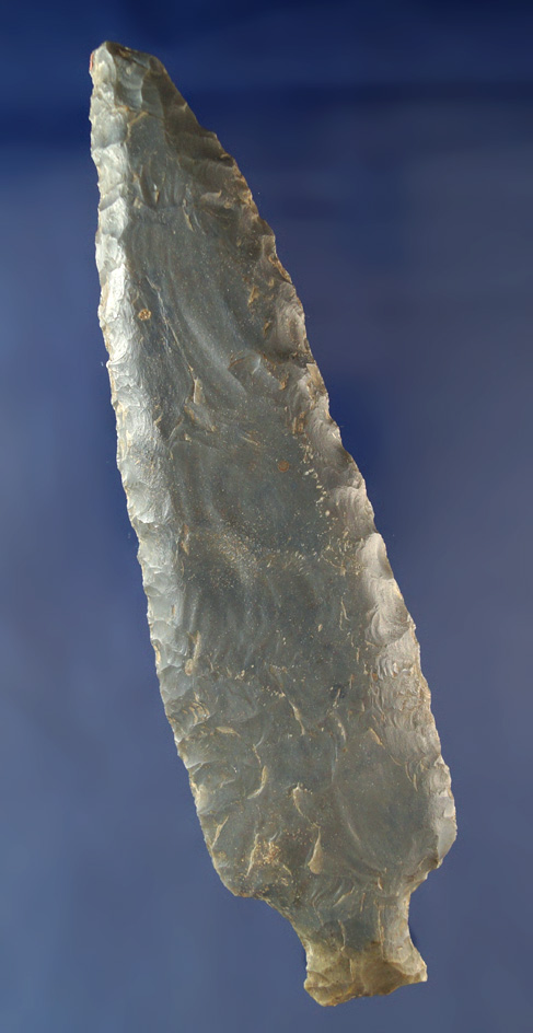 Large! 6 3/8" Hornstone Ashtabula with ancient tip damage found in Ashland Co., Ohio.  Jackson COA