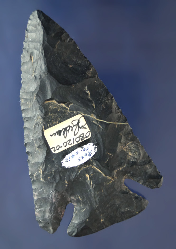 3 7/16" beautiful Coshocton Flint Lost Lake with restoration to one ear.  Ross Co., Ohio.