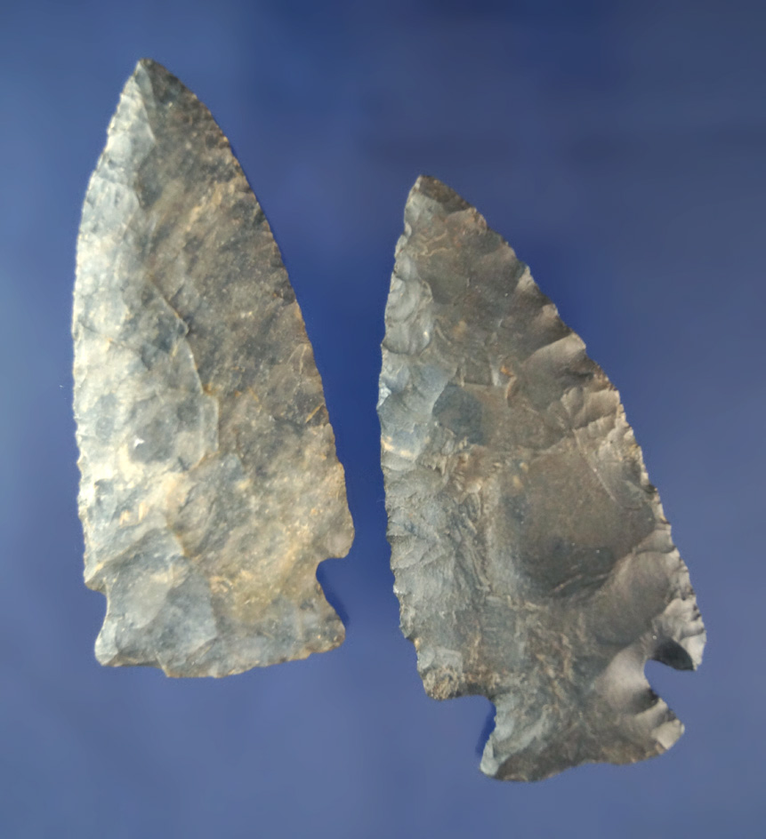 Nice pair of Coshocton Flint Arrowheads found in Ohio including a 2 13/16" Notched Base Dovetail.