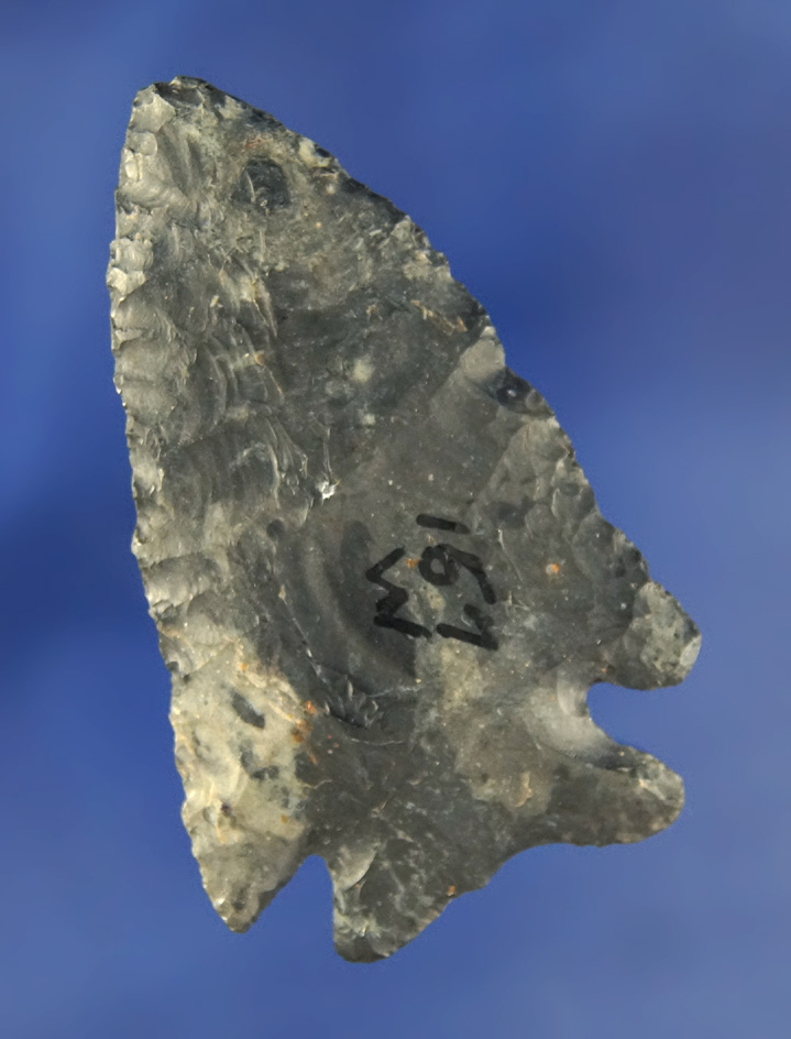 2 3/8" nicely flaked and well styled Coshocton Flint Archaic Cornernotch found in Lucas Co., Ohio