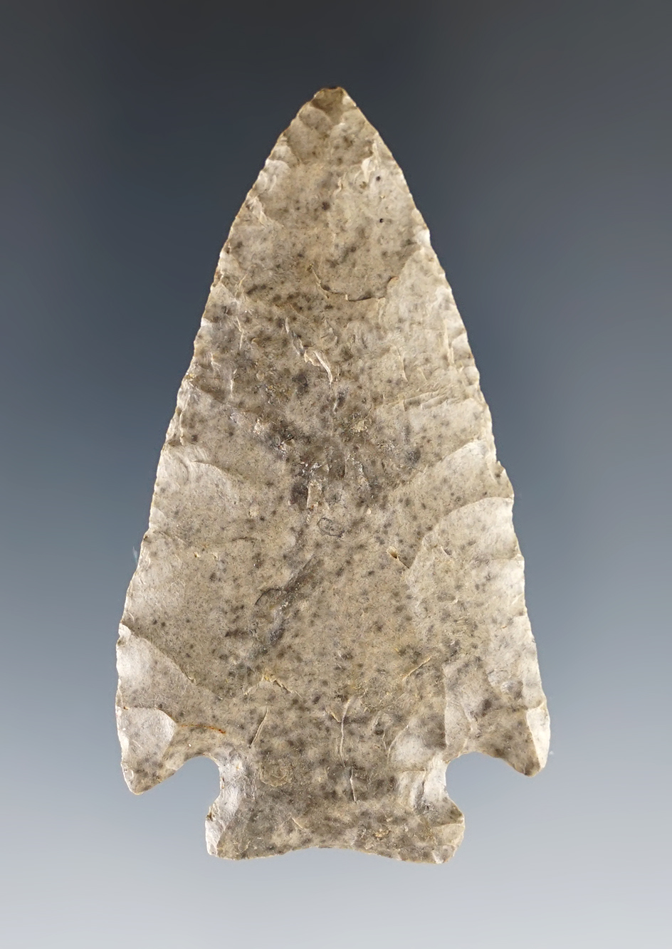 Nicely flaked 2 3/8" Ohio Pentagonal in excellent condition.