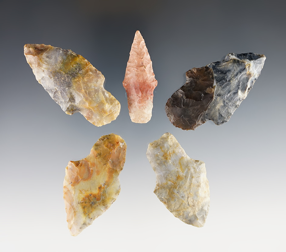 Group of five very colorful Flint Ridge Flint Adena points found in Ohio. Largest is 2 1/4.