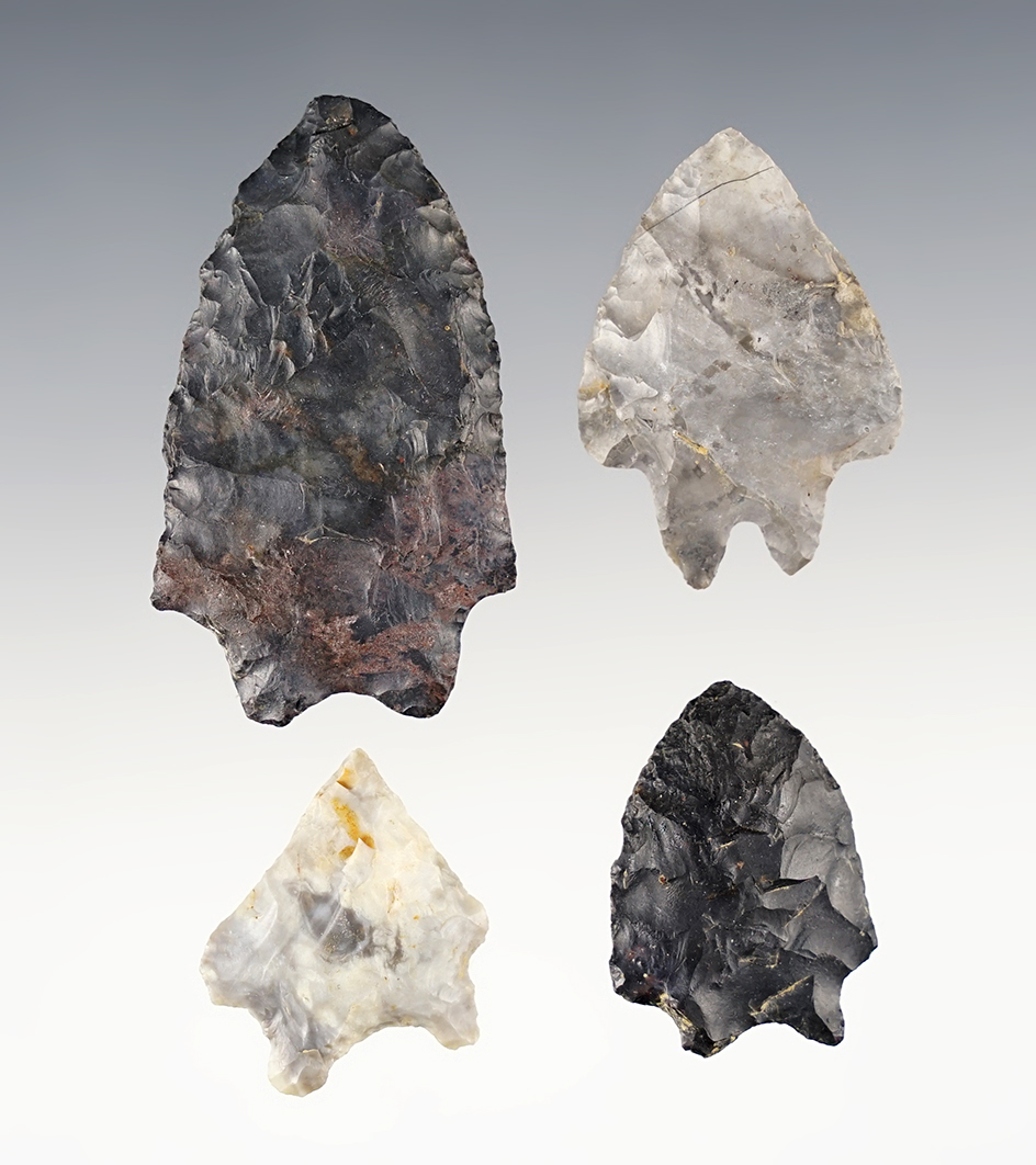 Set of 4 Bifurcated points found in Washington Co., Ohio. The largest is 2 1/16".