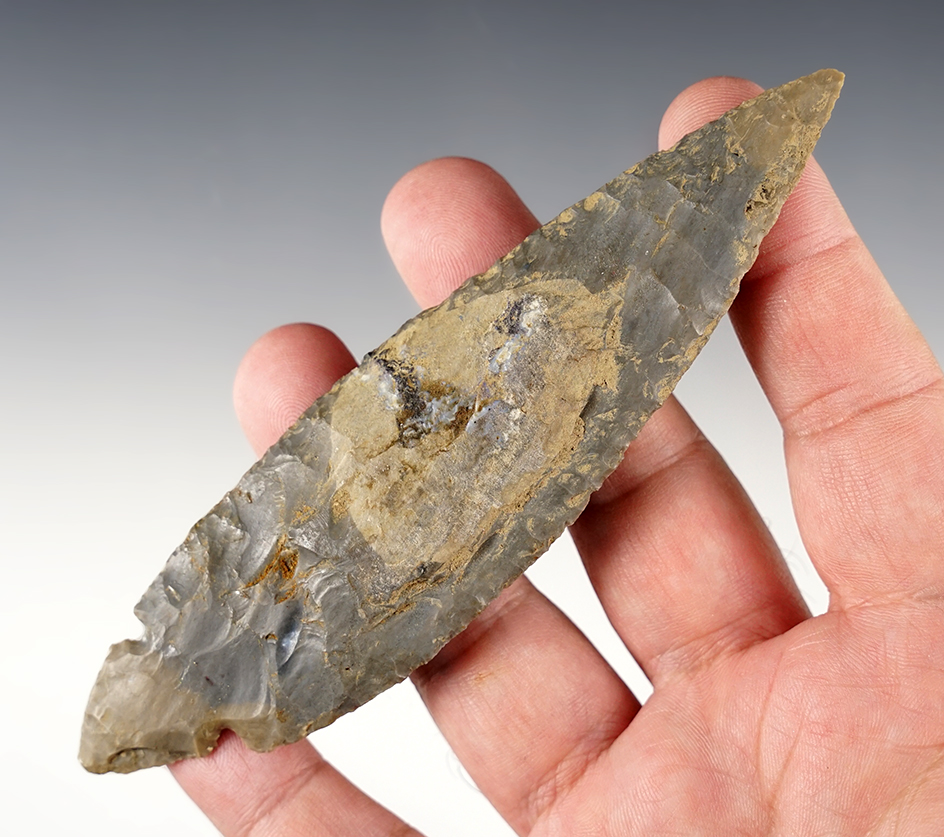 Large and well made 5 5/16" Turkeytail found in the Midwestern U.S.