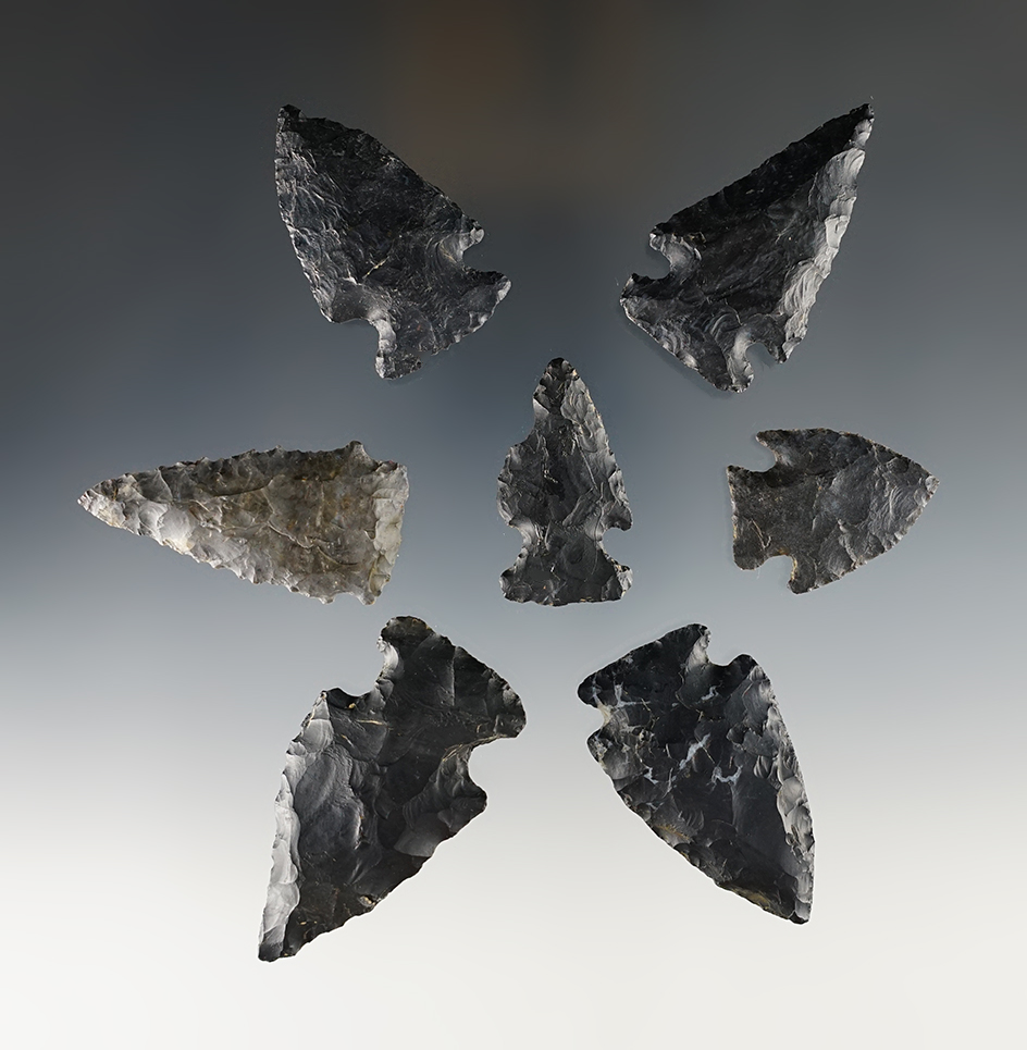 Set of seven Coshocton Flint points found in Ohio in nice condition. Largest is 2 1/4".