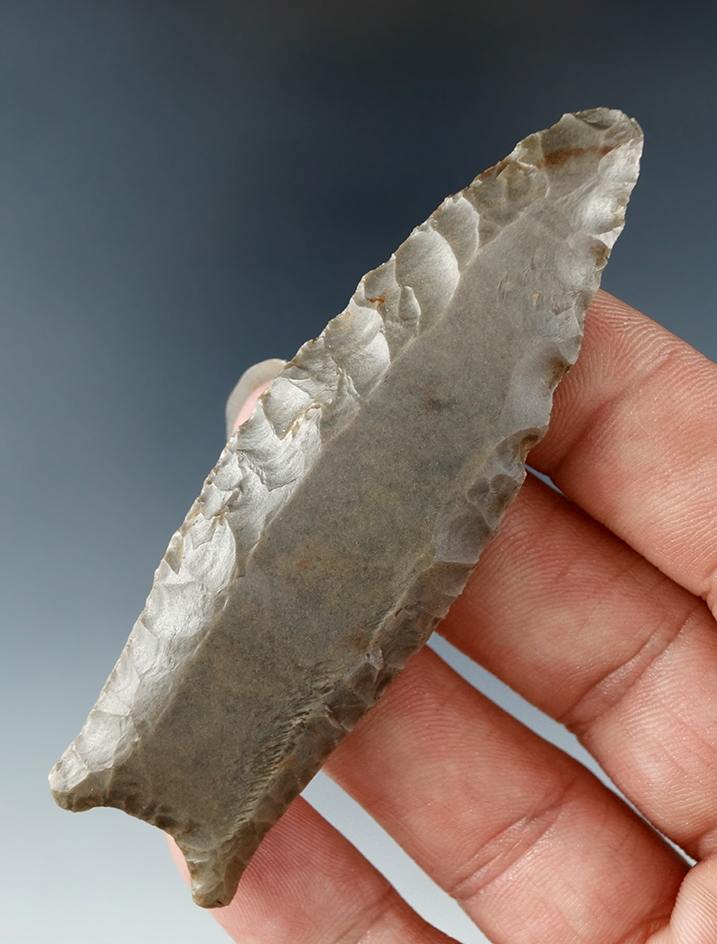 3 1/8" Paleo fluted Cumberland - Stuart Co., Tennessee made from heavily patinated Hornstone. COA.