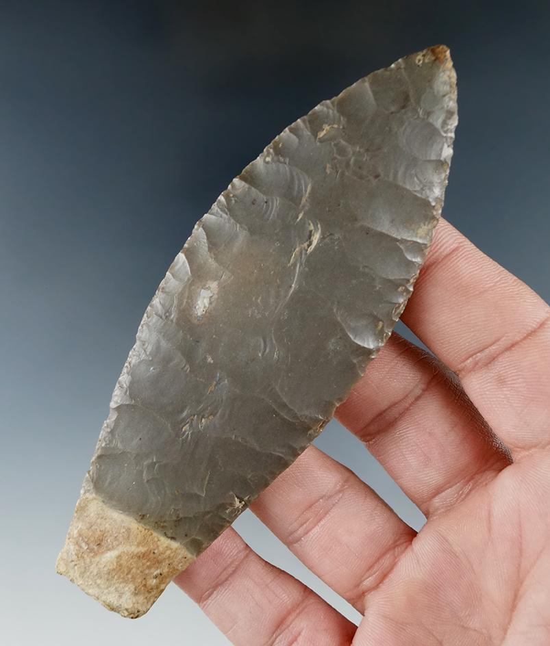 Exceptional! 4 1/4" Paleo Lanceolate - highly patinated found in Bargersville, Indiana. Bennett COA.