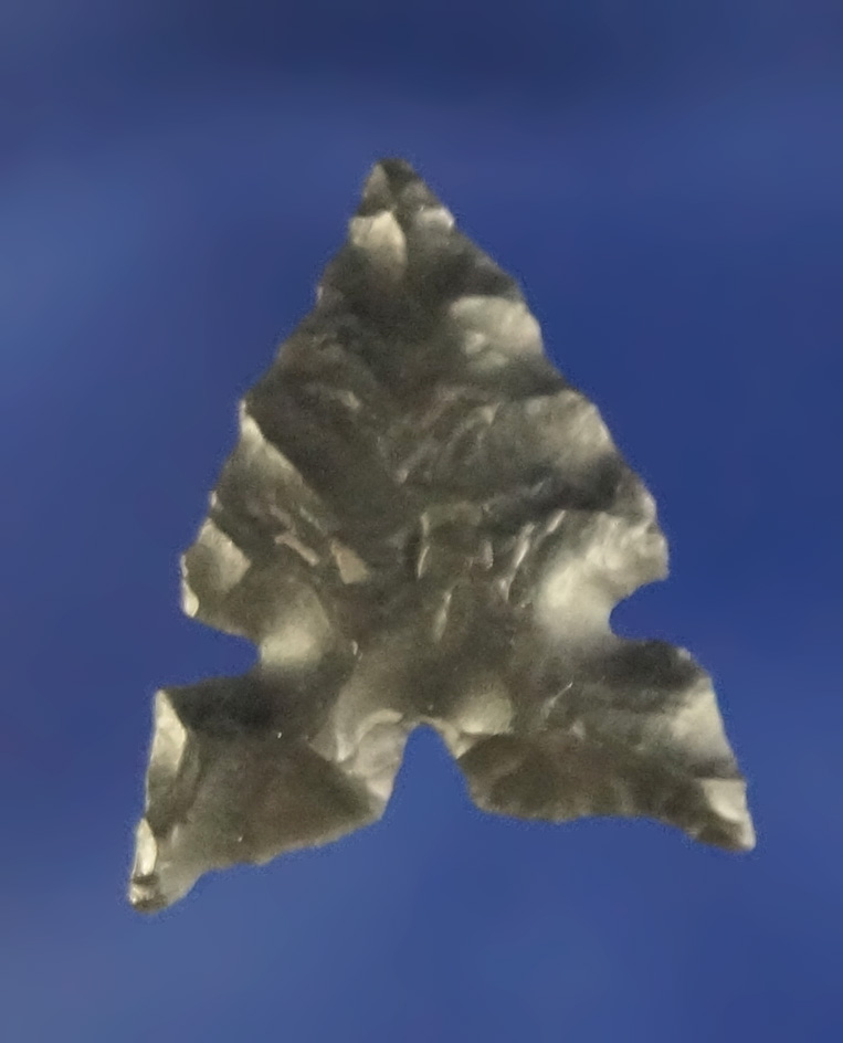 5/8" Desert Sierra that is nicely flaked on both sides found near the Dalles,  mid Columbia River.