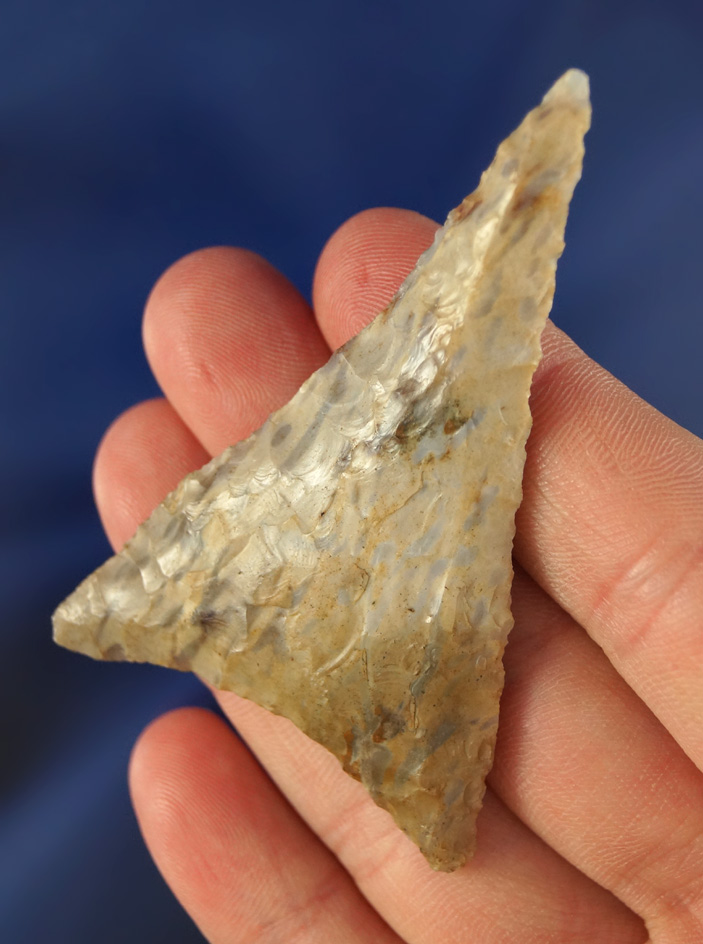 2 5/8" beautifully styled Columbia Mule Ear - attractive mottled material - Columbia River.