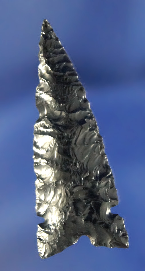 Nice size and excellent flaking on this 1 7/16" Obsidian Desert Sierra found near the Dalles