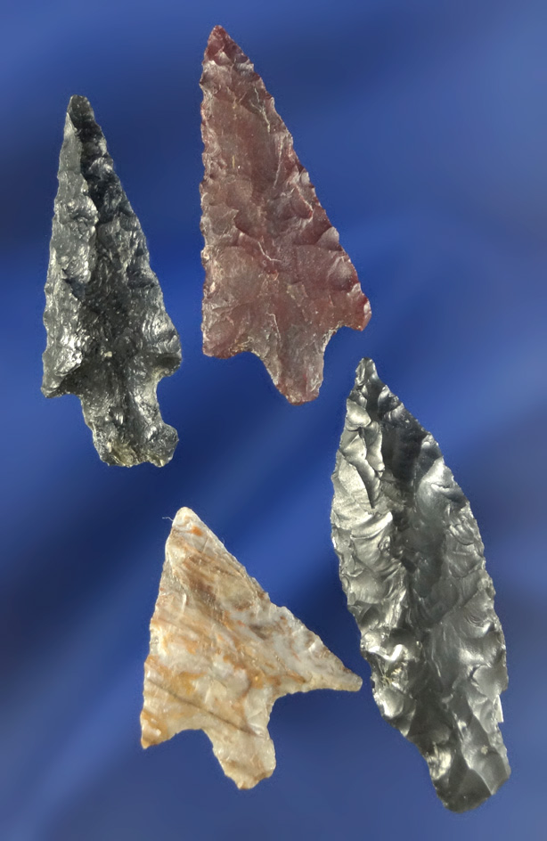 Set of four assorted Columbia River arrowheads, largest is 1 7/16".