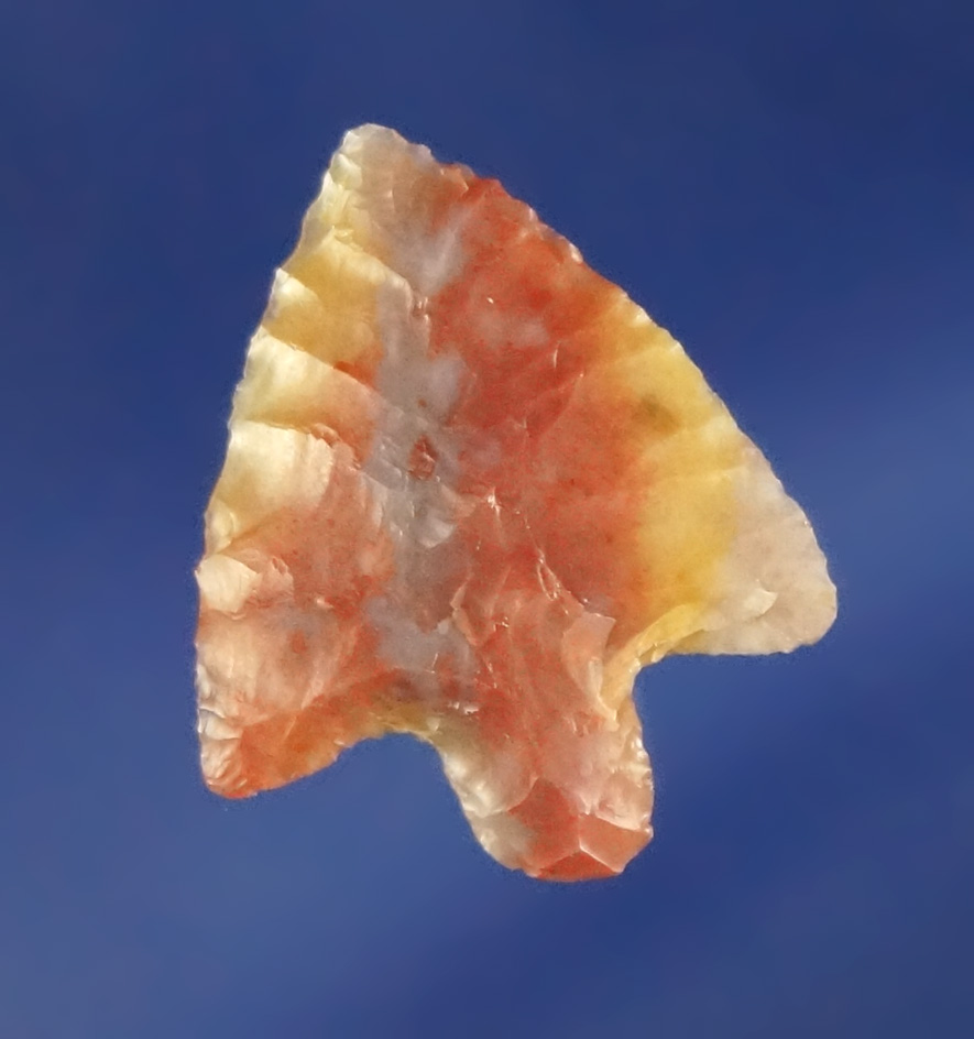 3/4" Wallula made from incredible red white blue and yellow Agate found near the Dalles